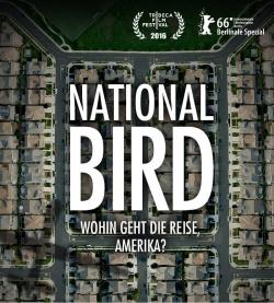 film-national_bird.jpg